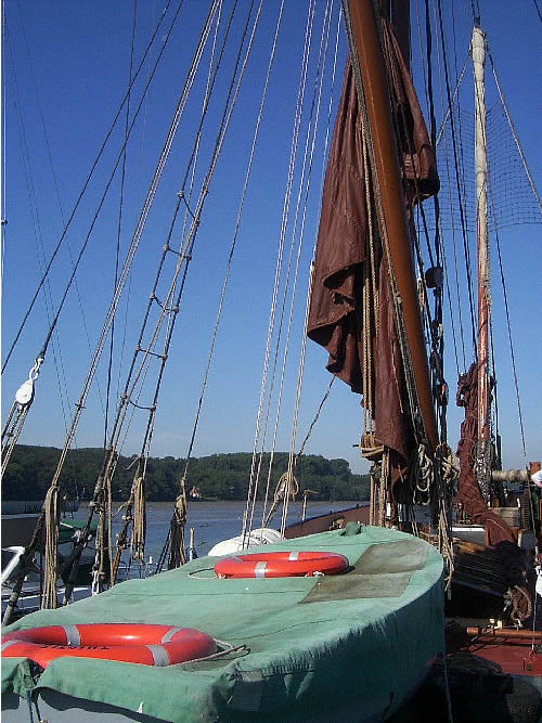 they're all in the bar!